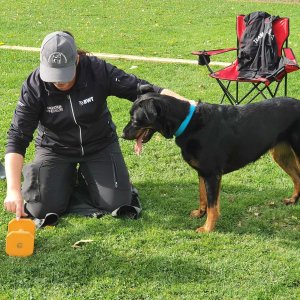 SV Taufkirchen vils, Obedience Seminar Susi Huber 2022